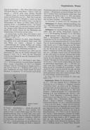 Seite 