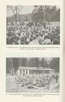 Seite 