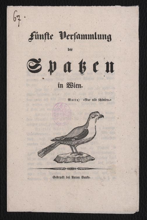 Zur Seitenansicht