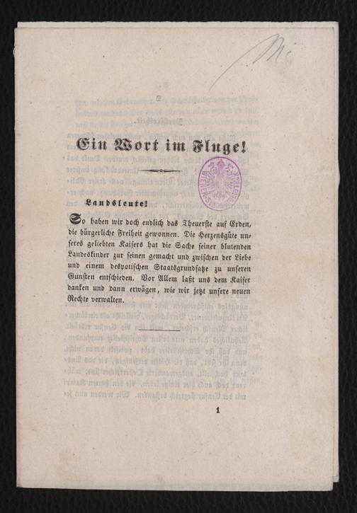 Zur Seitenansicht