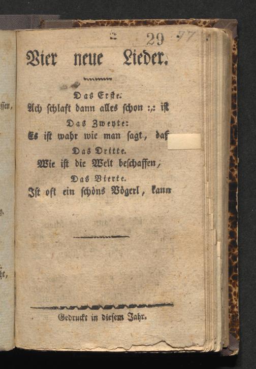 Zur Seitenansicht